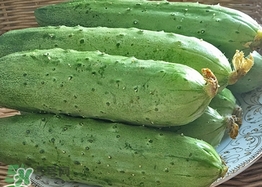 黃瓜敷臉可以美白嗎？黃瓜敷臉美白效果好嗎？