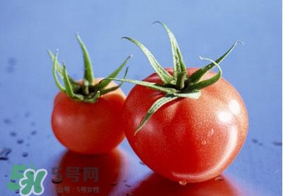 西紅柿能和黃瓜一起吃嗎？黃瓜可以和西紅柿一起吃嗎？