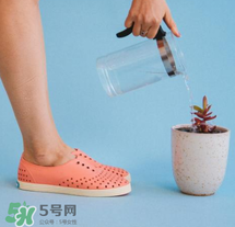 native鞋中文名稱是什么？native鞋中文怎么翻譯？