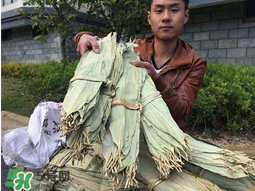 干粽葉怎么煮？干粽葉煮多久？