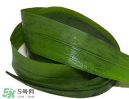 粽葉有幾種？粽葉哪種好？