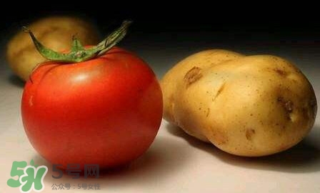 西紅柿能和土豆一起吃嗎？土豆可以和西紅柿一起吃嗎
