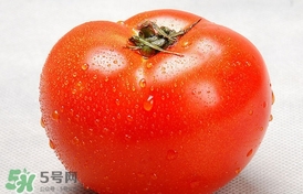西紅柿能和黃瓜一起吃嗎？黃瓜可以和西紅柿一起吃嗎？
