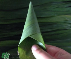 粽子葉能冷凍嗎？粽子葉放冰箱冷藏還是冷凍？