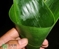 粽子葉能冷凍嗎？粽子葉放冰箱冷藏還是冷凍？