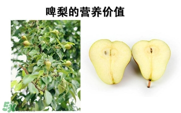 青啤梨要放軟了吃嗎？啤梨放軟了才能吃嗎？