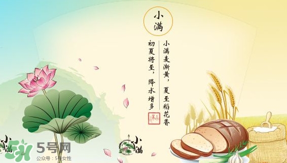 節(jié)氣小滿大滿是什么意思？24節(jié)氣為什么沒有大滿