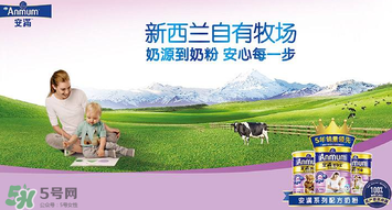安滿滿睿幼兒配方奶粉怎么樣？安滿滿睿奶粉怎么沖？