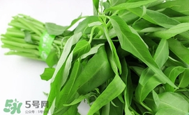 空心菜可以生吃嗎？空心菜能生吃嗎