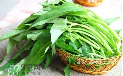 空心菜有毒嗎？空心菜需要焯水嗎？