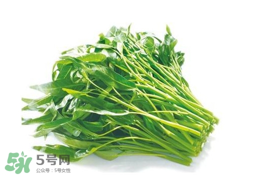 空心菜有毒嗎？空心菜需要焯水嗎？