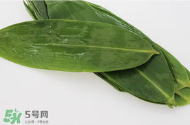 新鮮粽葉怎么處理？新鮮粽子葉怎樣處理？