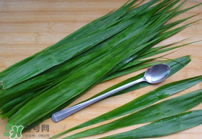 粽葉是蘆葦葉嗎？粽葉和蘆葦葉的區(qū)別