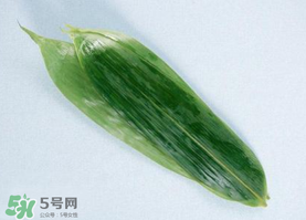箬葉可以包粽子嗎？箬葉怎么包粽子？