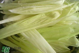 玉米葉可以包粽子嗎？包棕子用玉米葉可以嗎?