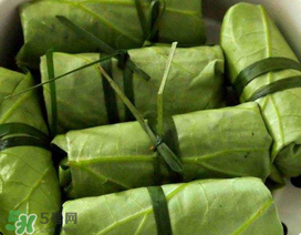 荷葉可以包粽子嗎？荷葉怎么包粽子？
