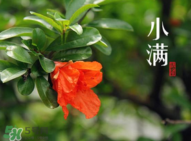?小滿可以回娘家嗎？?小滿能回娘家嗎？