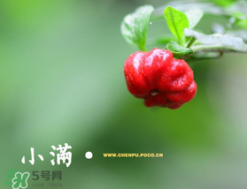 ?小滿可以回娘家嗎？?小滿能回娘家嗎？