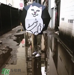 ripndip是什么牌子？ripndip是什么檔次？