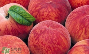 桃子和西瓜一起吃會(huì)中毒嗎？桃子和西瓜能一起吃嗎？