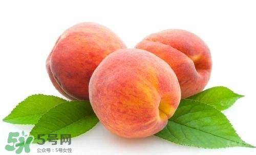 桃子的種類有哪些？哪種桃子最好吃？