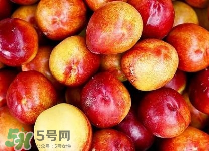 桃子的種類有哪些？哪種桃子最好吃？