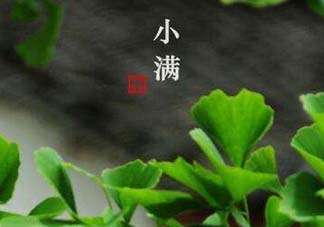 ?小滿可以回娘家嗎？?小滿能回娘家嗎？