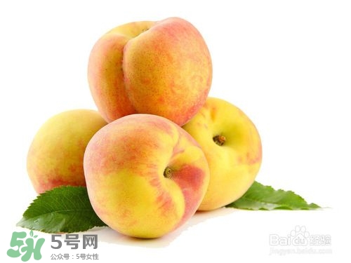 桃子的種類有哪些？哪種桃子最好吃？