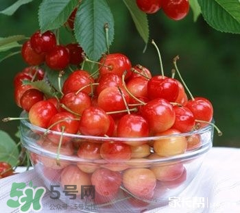 櫻桃是熱性還是涼性？櫻桃能多吃嗎？