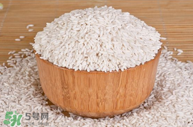 江米泡多久才可以包粽子？江米包粽子跑多長時(shí)間？