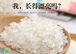 大米可以包粽子嗎？包粽子大米要泡多久？