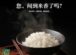 大米可以包粽子嗎？包粽子大米要泡多久？