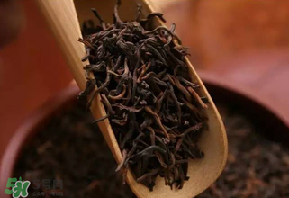 普洱茶能不能天天喝？天天喝普洱茶好嗎？