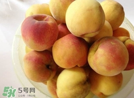 黃桃是杏子嗎？黃桃和杏子的區(qū)別