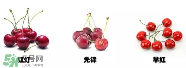 櫻桃和車厘子有什么區(qū)別？櫻桃和車厘子哪個貴？