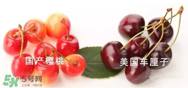 櫻桃和車厘子有什么區(qū)別？櫻桃和車厘子哪個貴？