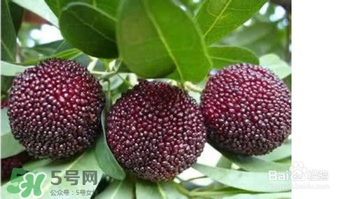 楊梅怎么吃好吃？楊梅怎么吃不酸？
