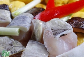 鱷魚肉有刺嗎？鱷魚肉有什么功效