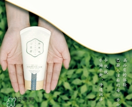百雀羚三生花洗面奶多少錢？百雀羚三生花洗面奶價格