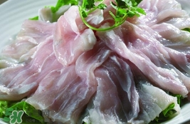 鱷魚肉是寒性的嗎？ 鱷魚肉是寒性還是溫性？