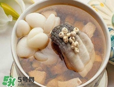 鱷魚肉燉湯要去皮嗎？鱷魚肉煲湯新鮮的好還是干的好