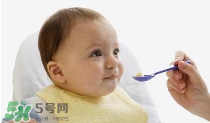 寶寶幾個月可以吃肉松？寶寶多大可以吃肉松
