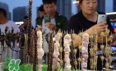 鱷魚肉價格多少錢一斤？吃鱷魚犯法嗎？