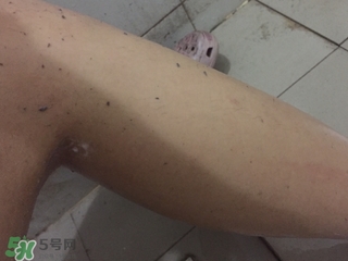 shills舒兒絲去角質(zhì)雪泡怎么用？shills舒兒絲去角質(zhì)雪泡用法