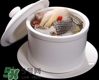 干鱷魚肉怎么吃？鱷魚肉怎么吃治咳嗽？