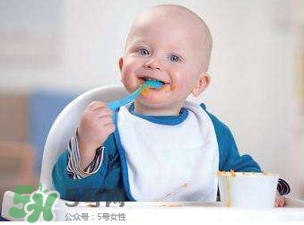 寶寶幾個月可以吃肉松？寶寶多大可以吃肉松