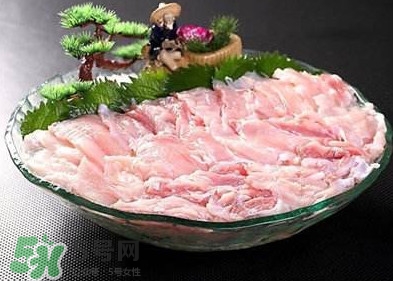 鱷魚肉是發(fā)物嗎？鱷魚肉是不是發(fā)物