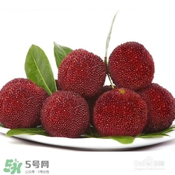 楊梅怎么吃好吃？楊梅怎么吃不酸？