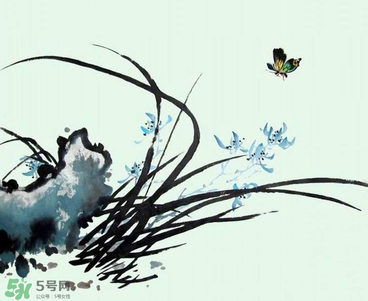 空谷幽蘭是什么書？空谷幽蘭講的是什么？
