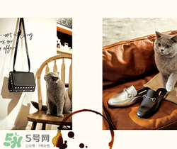 belle是什么牌子？百麗是哪個國家的品牌？